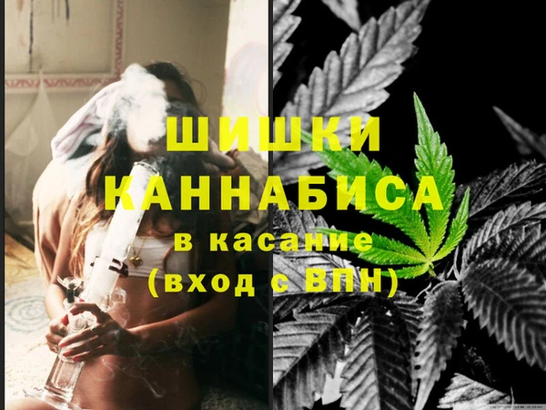сатива Балахна