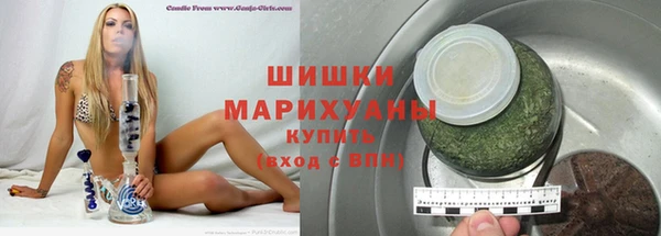 сатива Балахна