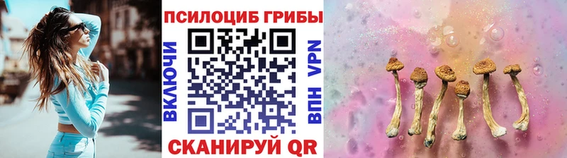 Купить где Николаевск Псилоцибиновые грибы MAGIC MUSHROOMS