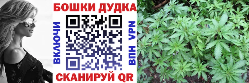 Купить закладки  Николаевск  Шишки марихуана THC 21% 